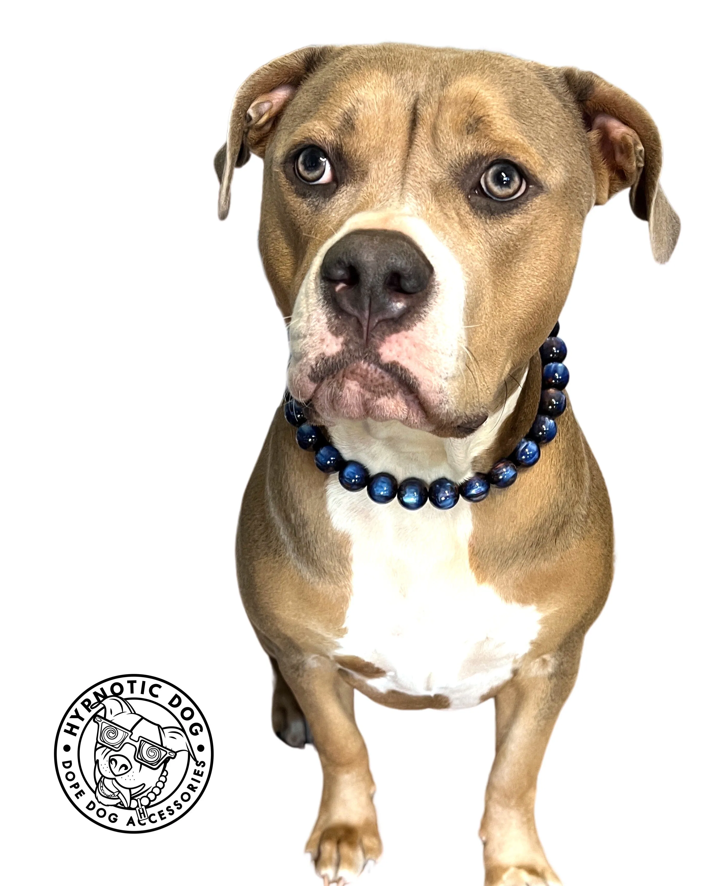 Galaxy Blue Resin Bead Collar