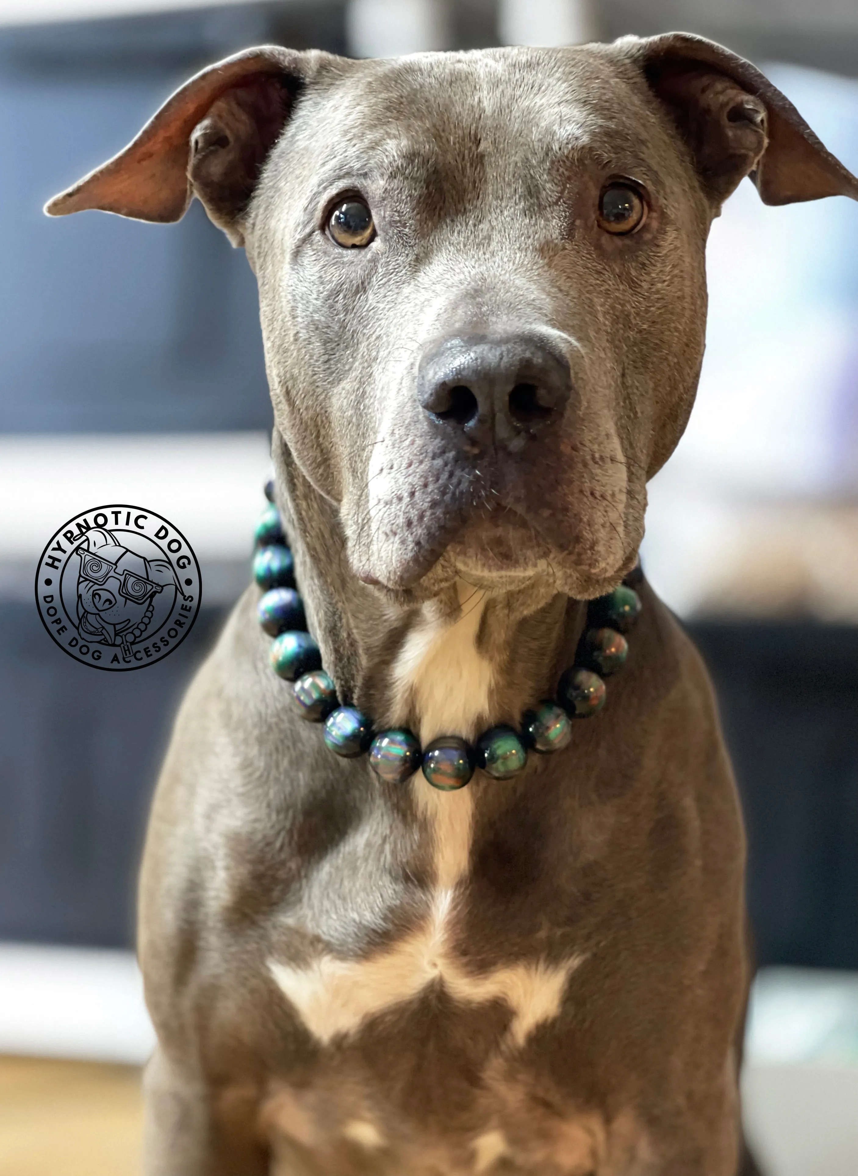 Northern Lights Resin Bead Collar