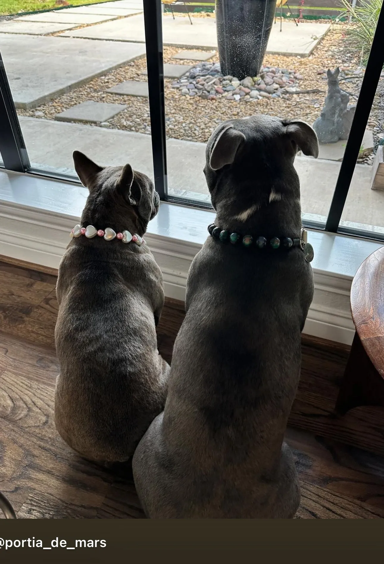 Northern Lights Resin Bead Collar