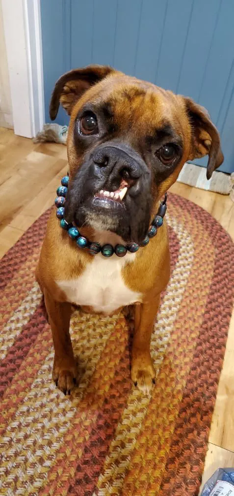 Northern Lights Resin Bead Collar