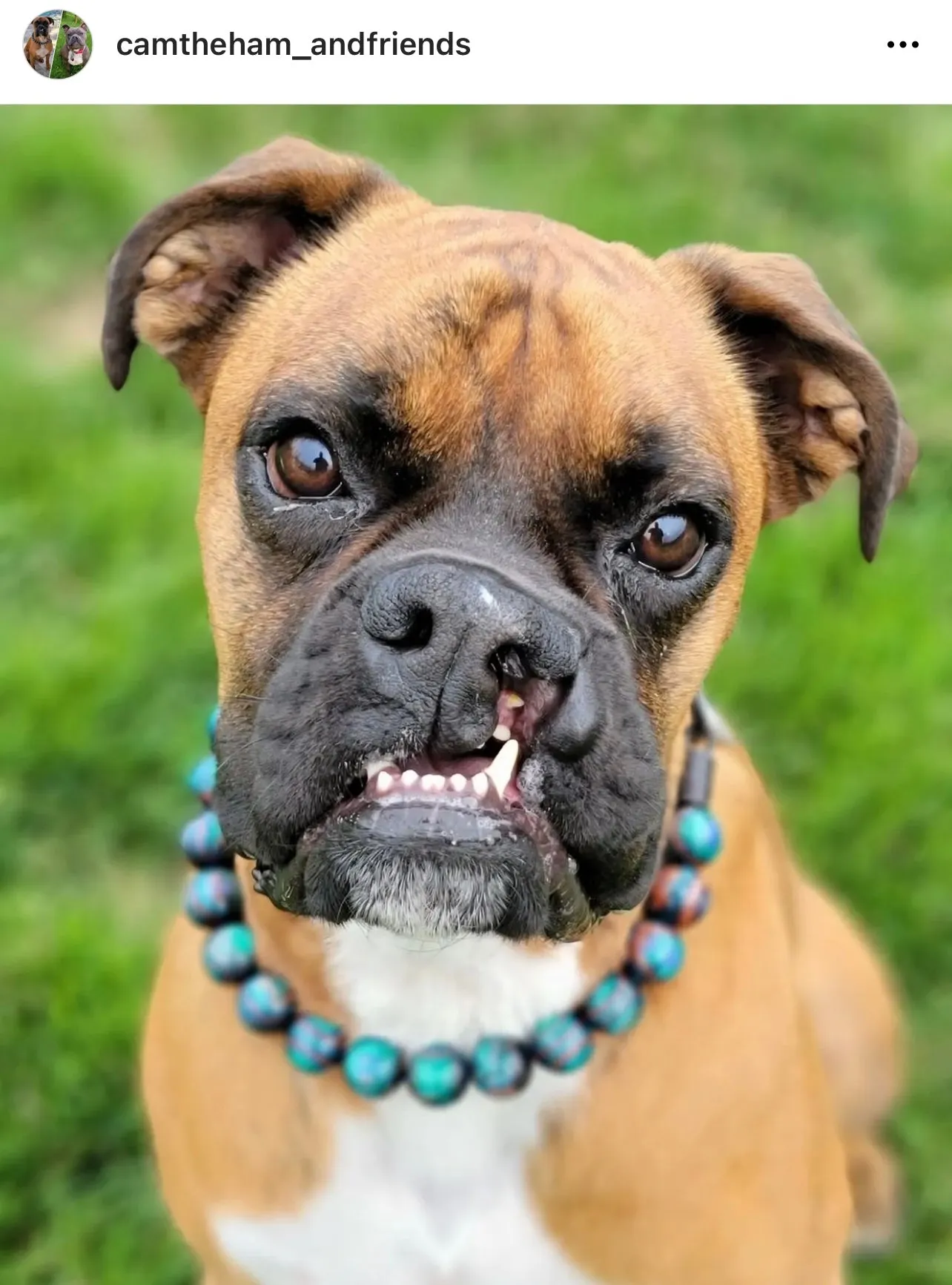 Northern Lights Resin Bead Collar
