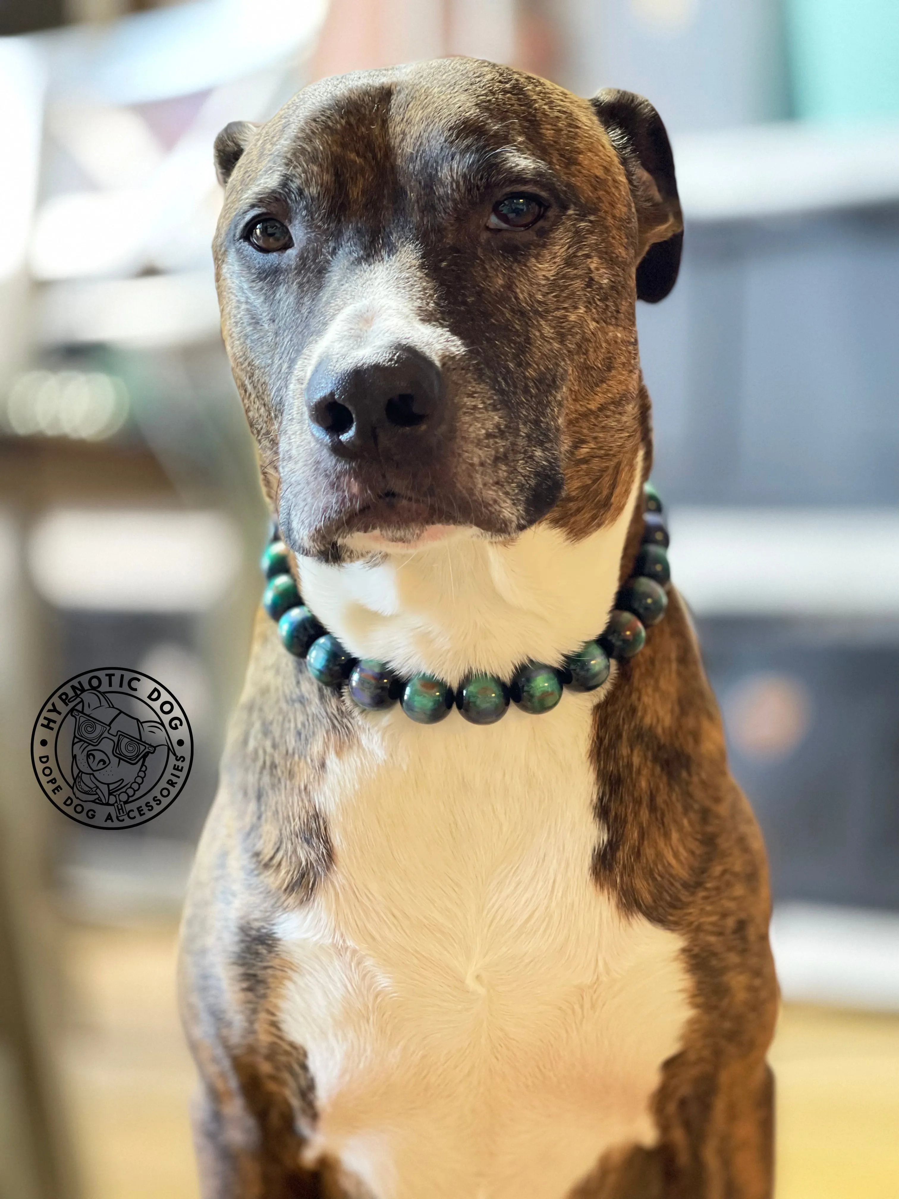 Northern Lights Resin Bead Collar