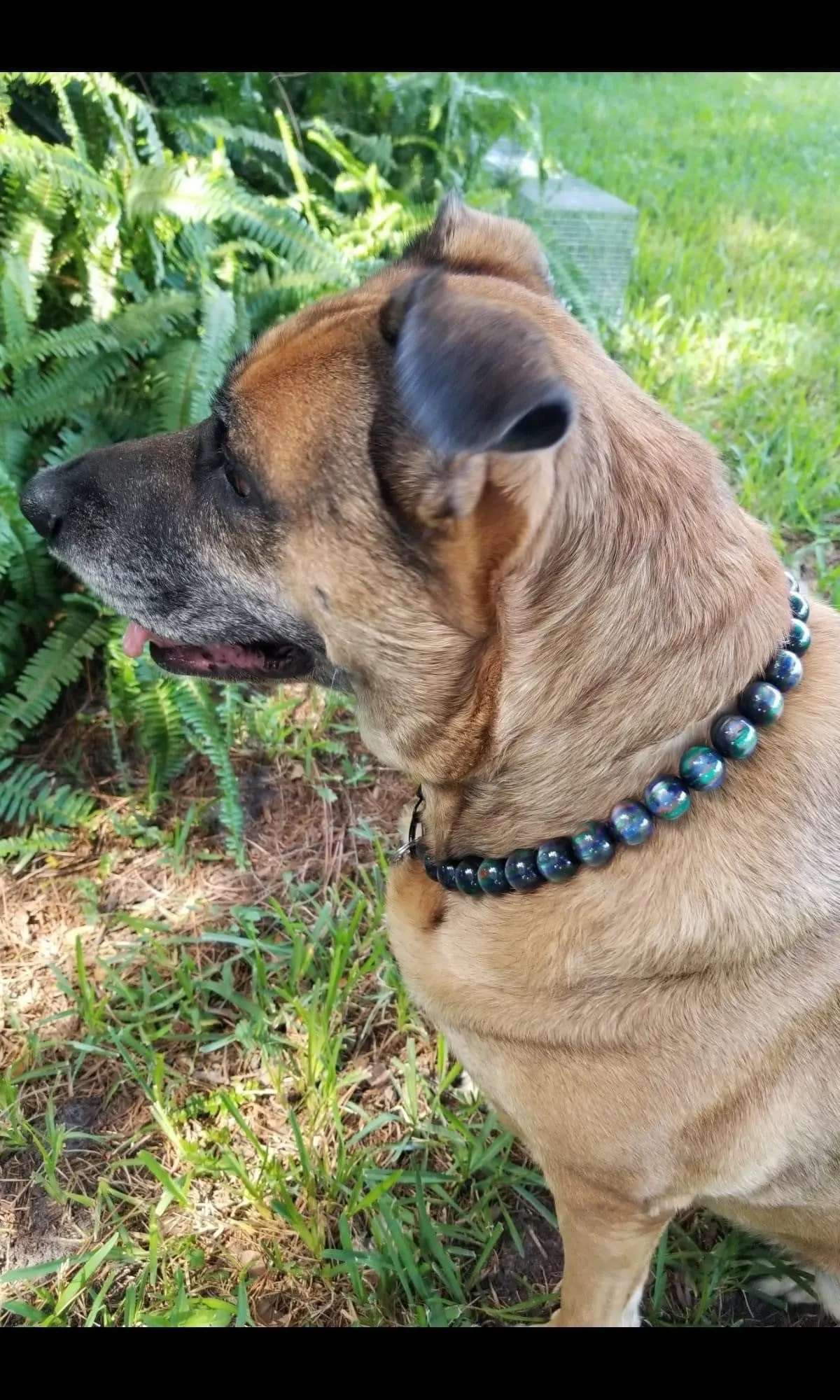 Northern Lights Resin Bead Collar