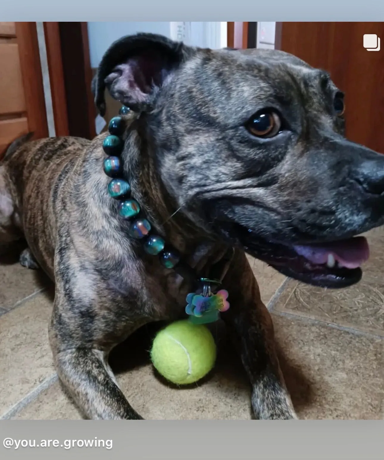 Northern Lights Resin Bead Collar