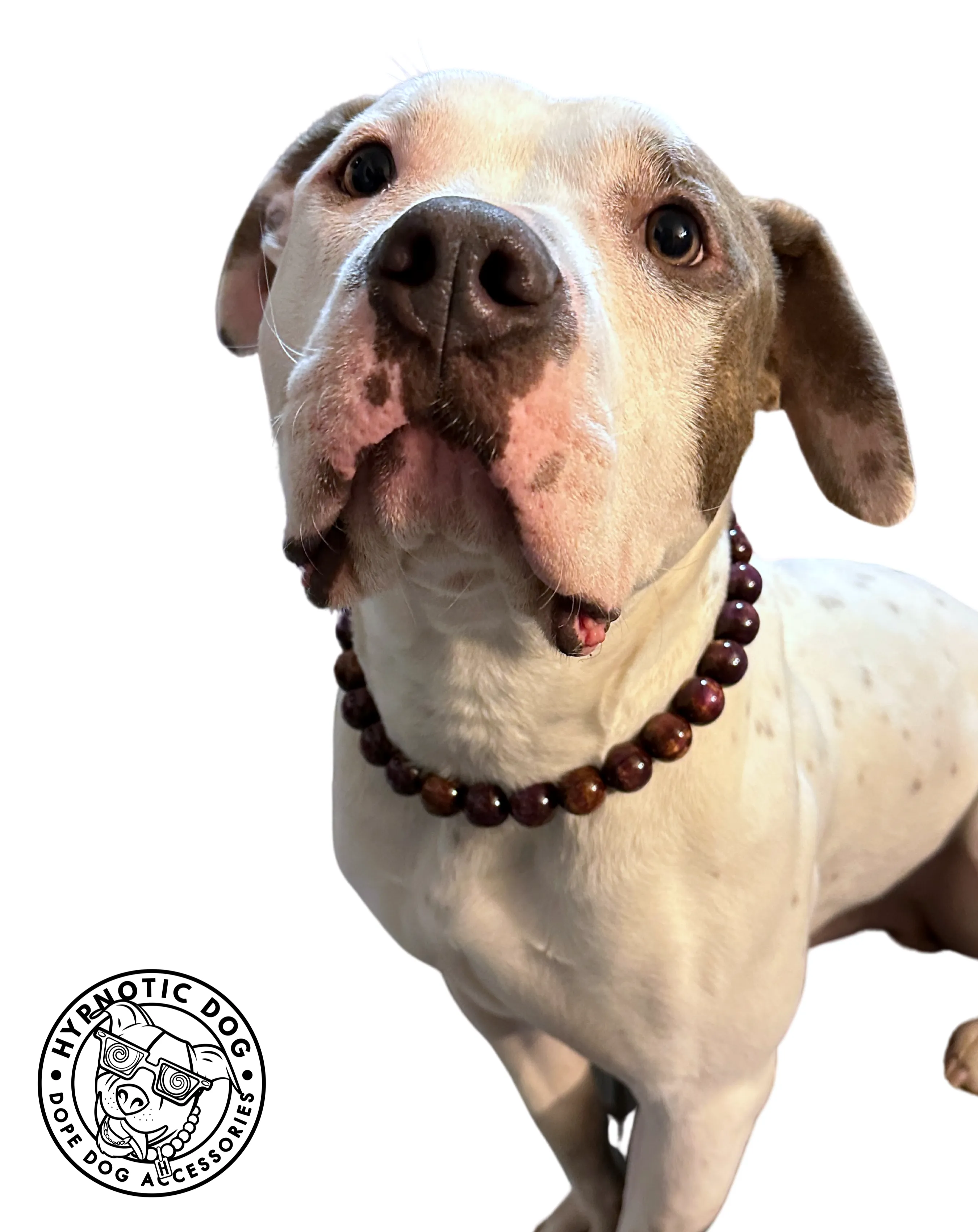 Purple Aurora Resin MINI [Small Dog/Cat Bead Collar]