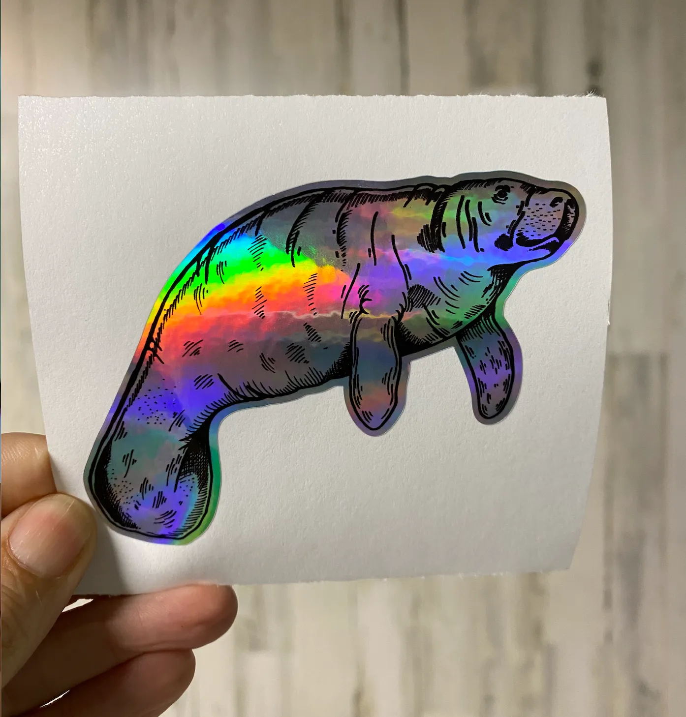 Sticker Manatee