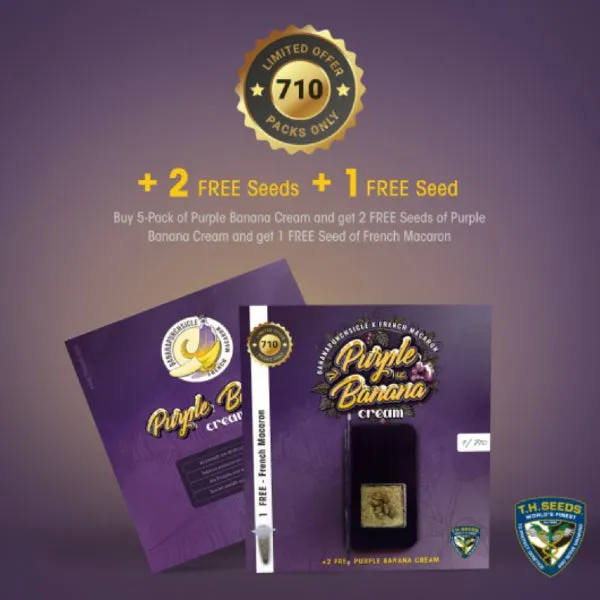 T.H. Seeds - Purple Banana Cream   2 x Free Seeds & 1 French Macaron