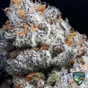 T.H. Seeds - Purple Banana Cream   2 x Free Seeds & 1 French Macaron